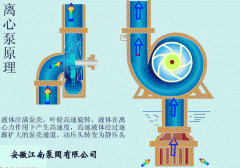 耐腐蝕離心泵結(jié)構(gòu)圖,工作原理GIF動(dòng)畫